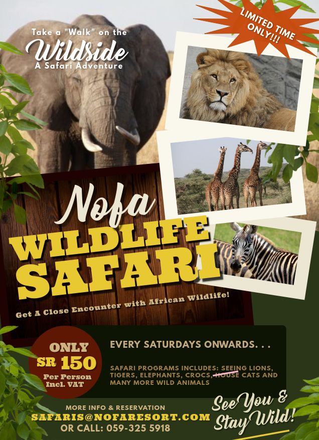 Wildlife Park & Visitors Centre Safari Tour